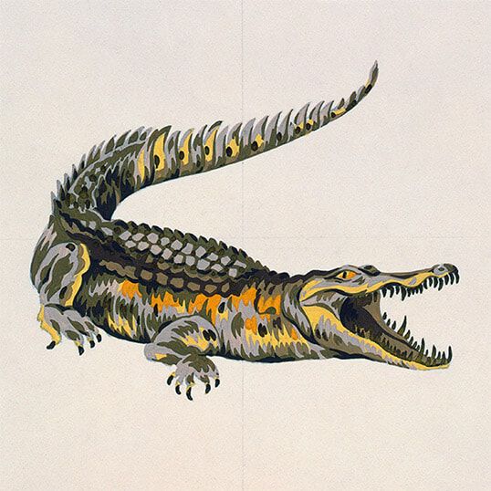 Image without a name 