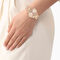 Women Moonball Watch lacoste women moonball watch