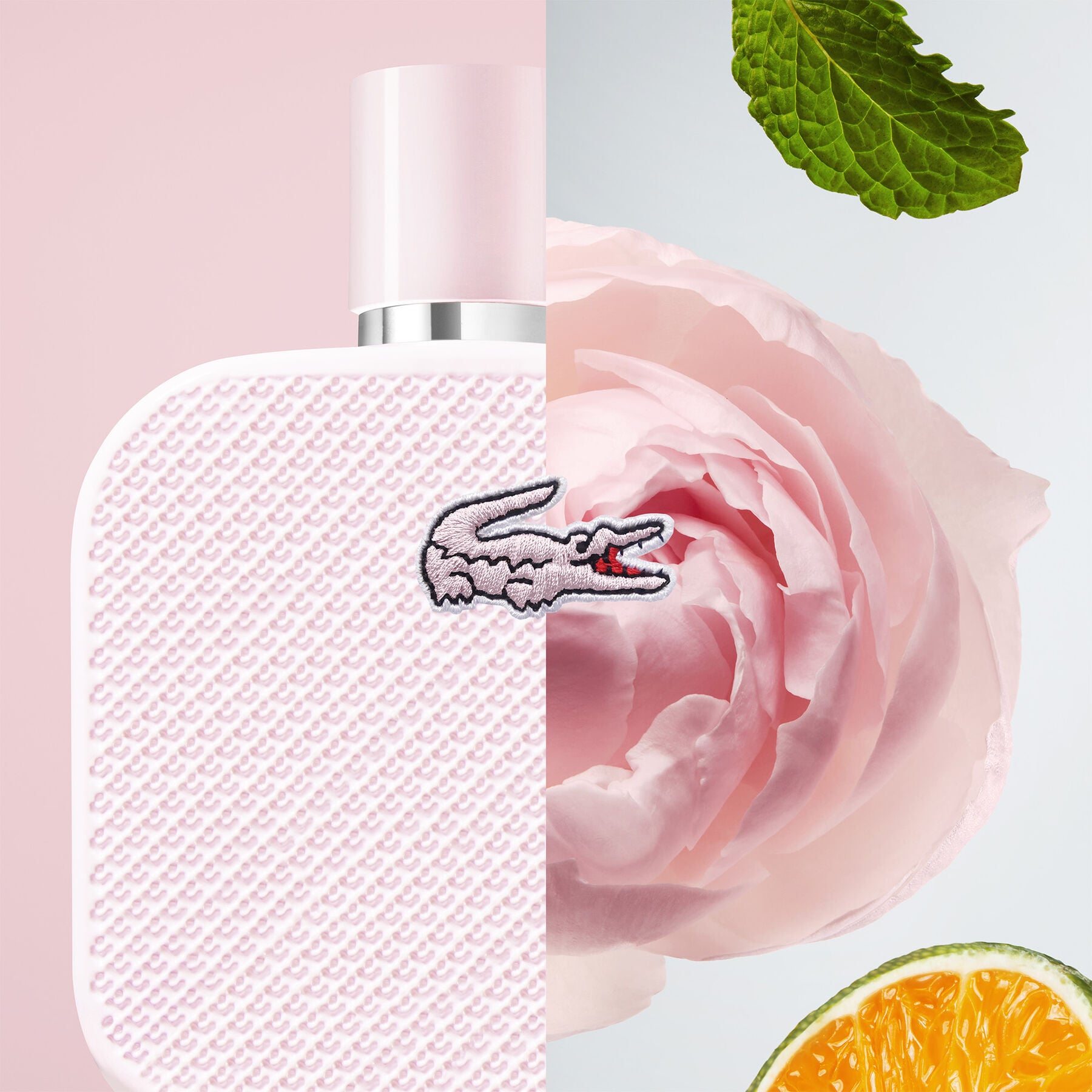 عطر LCT L1212 روز EDP 100 مل عطر LCT L1212 روز EDP 100 مل