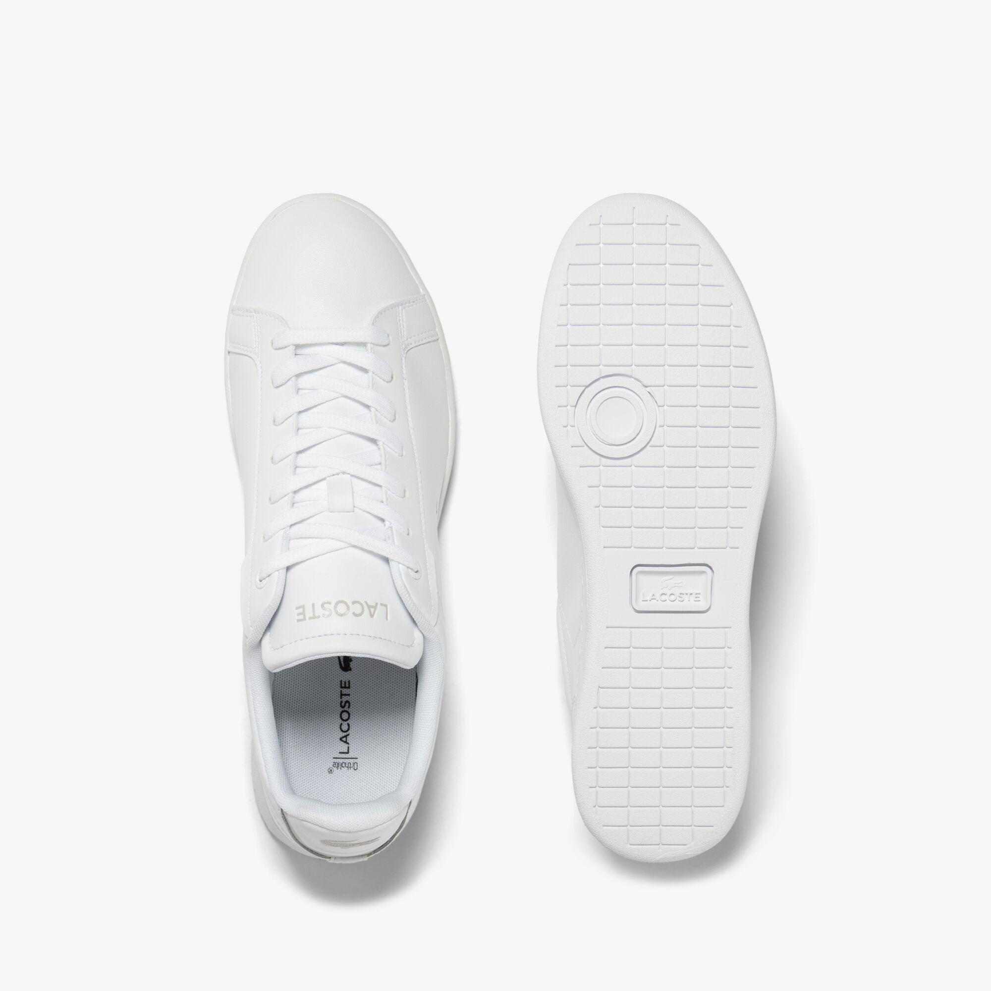Lacoste carnaby evo 317 2 outlet