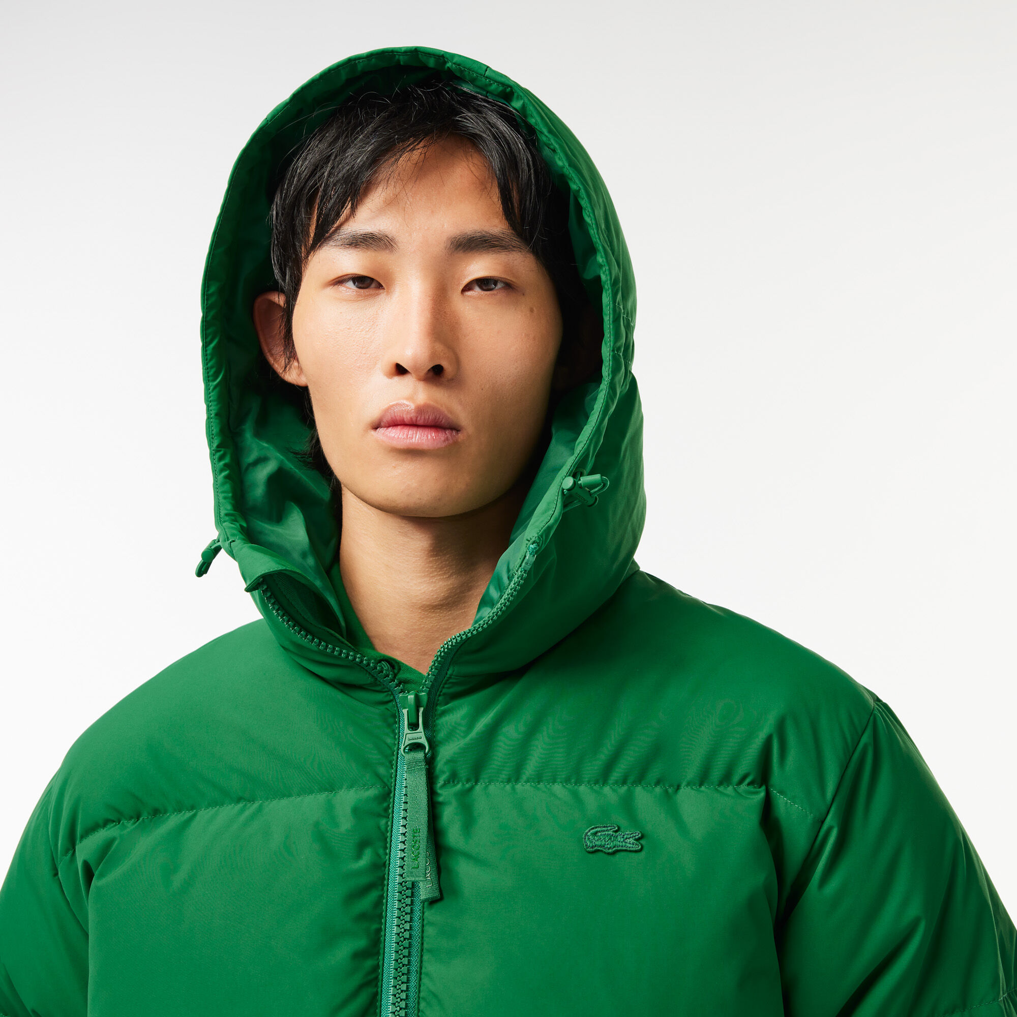 Men s Jackets Men s Coats Lacoste Jackets For Men Lacoste Egypt