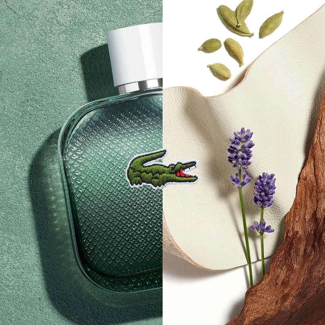 عطر L.12.12 بلانك او انتنس للرجال، او دي تواليت، 50 مل عطر L.12.12 بلانك او انتنس للرجال، او دي تواليت، 50 مل