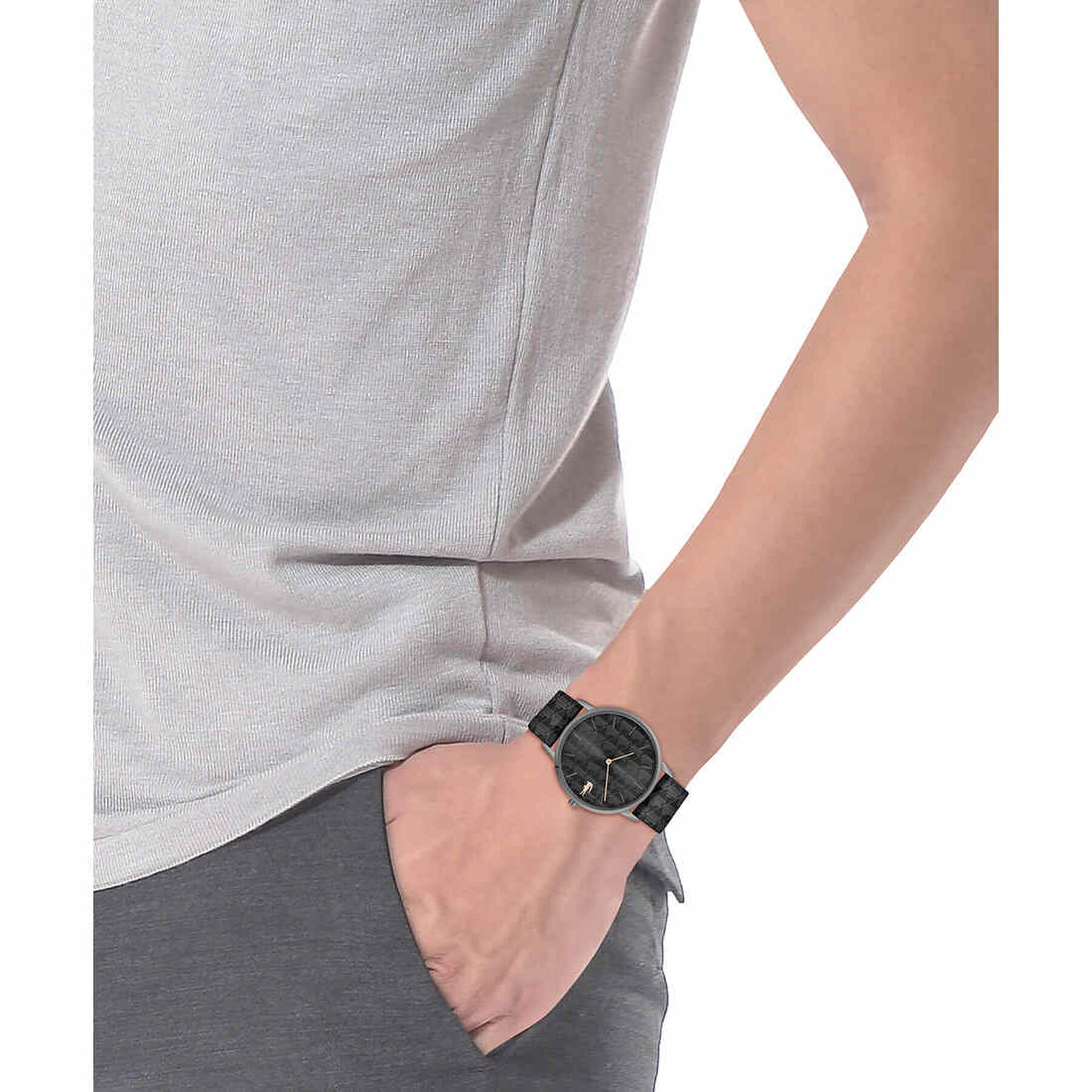Men Crocogin watch lacoste men crocogin watch