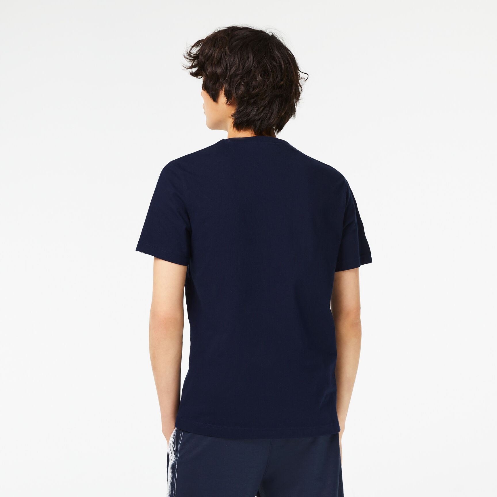 Men's Lacoste Regular Fit Logo Stripe T-shirt