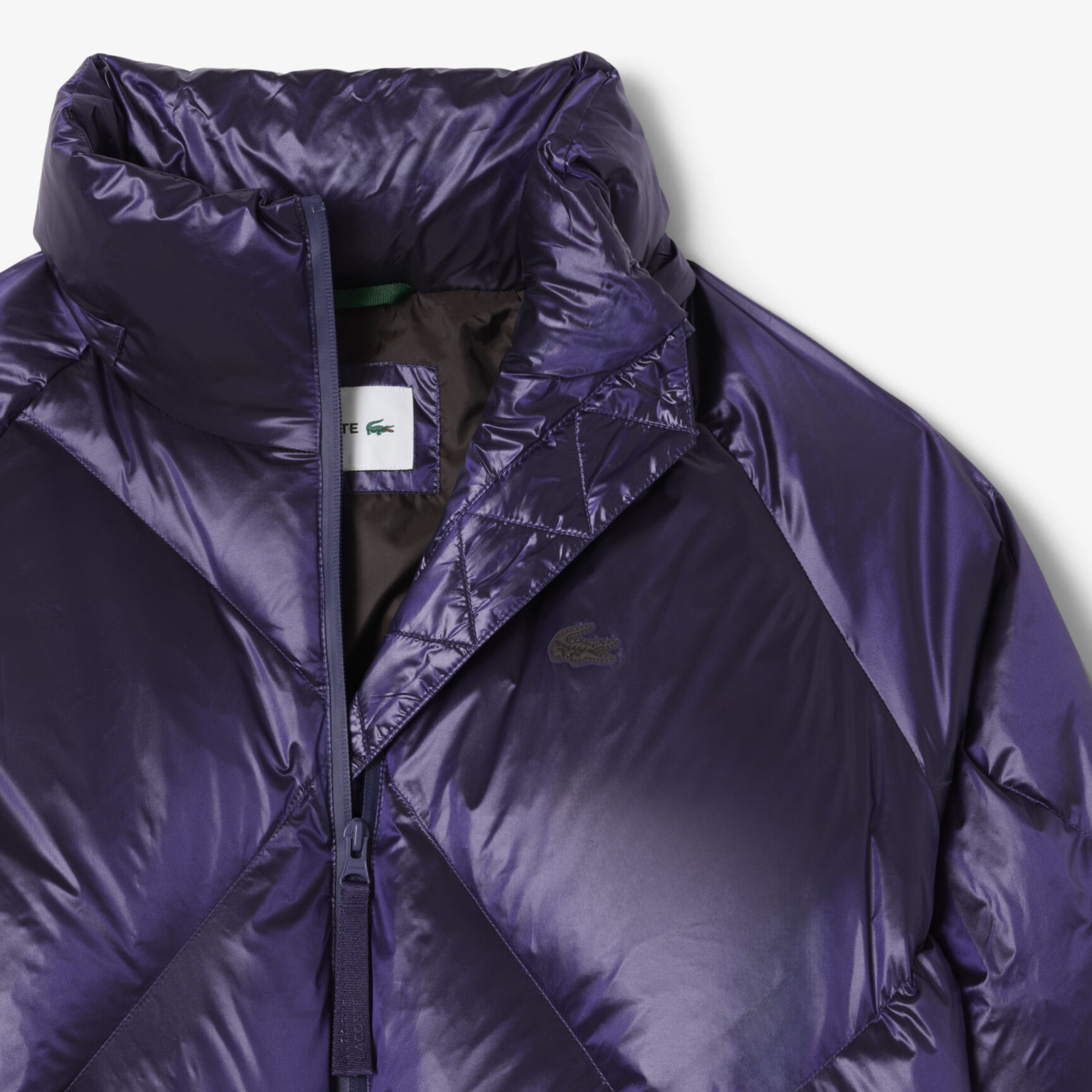 Oversized Water-Repellent Down Jacket