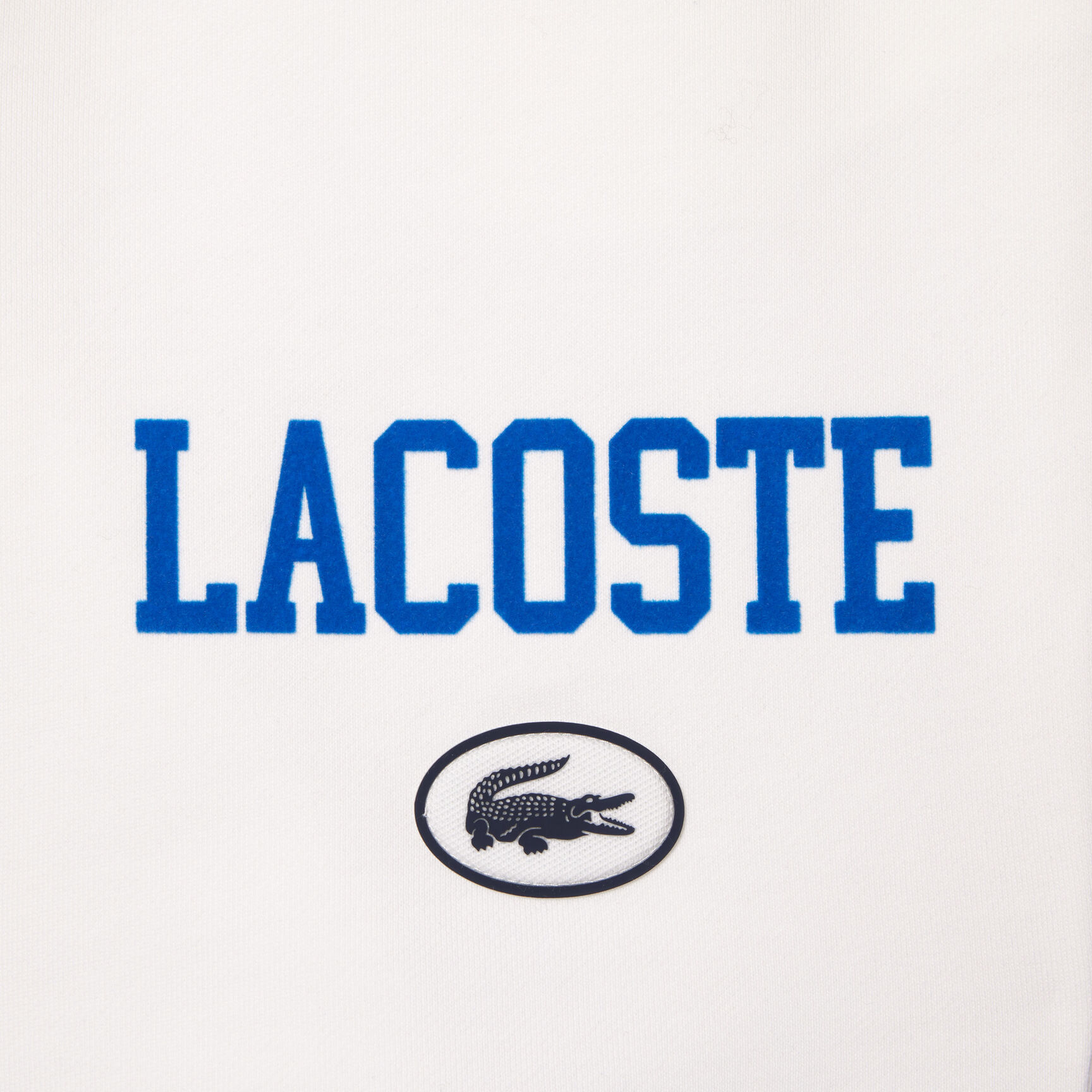 Regular Fit Lacoste Print Jogger Shorts Regular Fit Lacoste Print Jogger Shorts