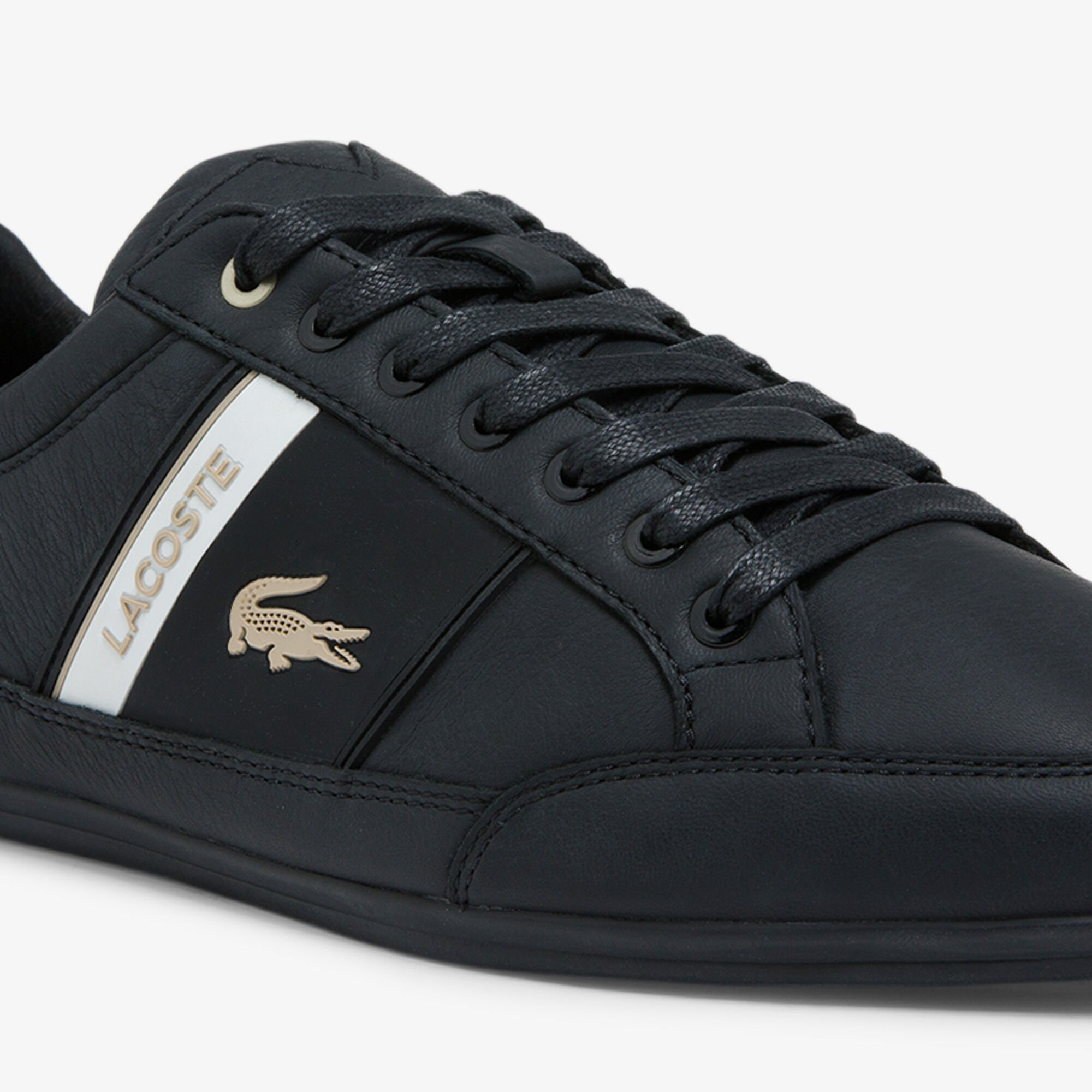 Lacoste chaymon 318 5 outlet