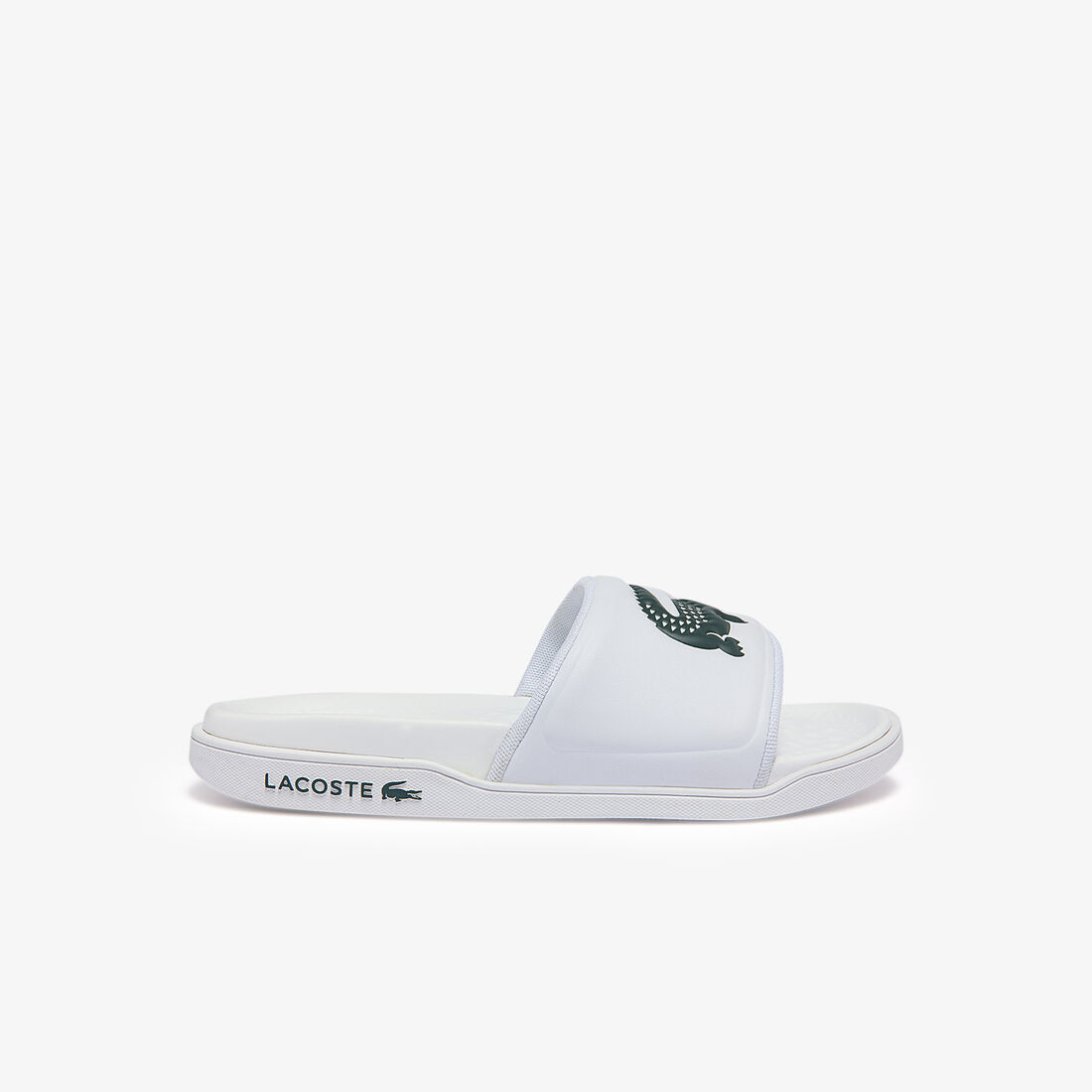 Women's Croco Dualiste Synthetic Logo Strap Slides