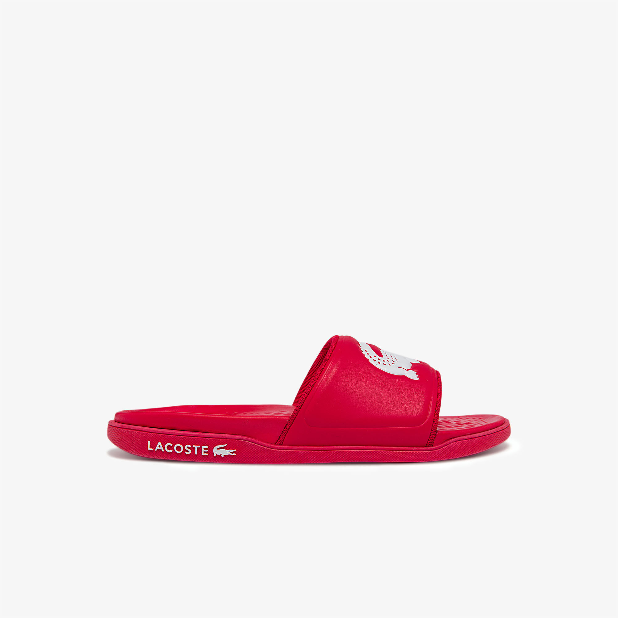 Children's sale lacoste sliders