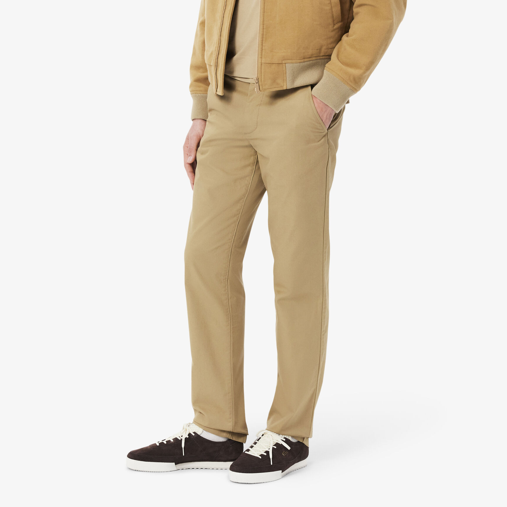 Regular Fit Cotton Chino Pants