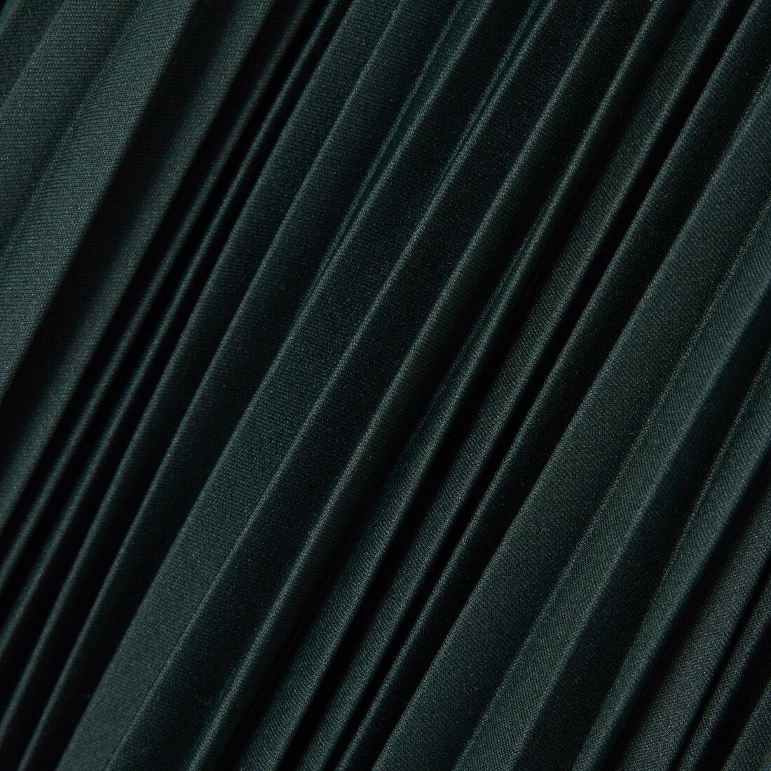Long Pleated Elasticated Waist Skirt