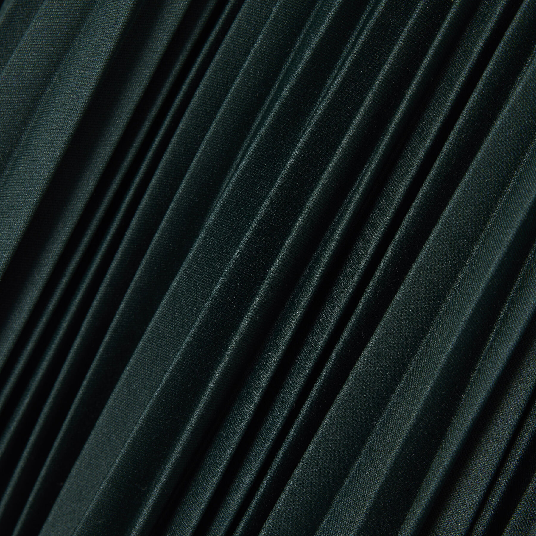Long Pleated Elasticated Waist Skirt