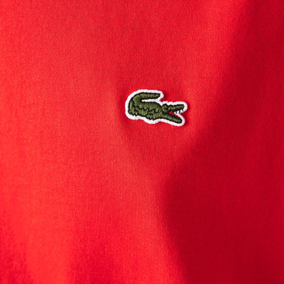 Women's Crew Neck Premium Cotton T-shirt Women's Crew Neck Premium Cotton T-shirt