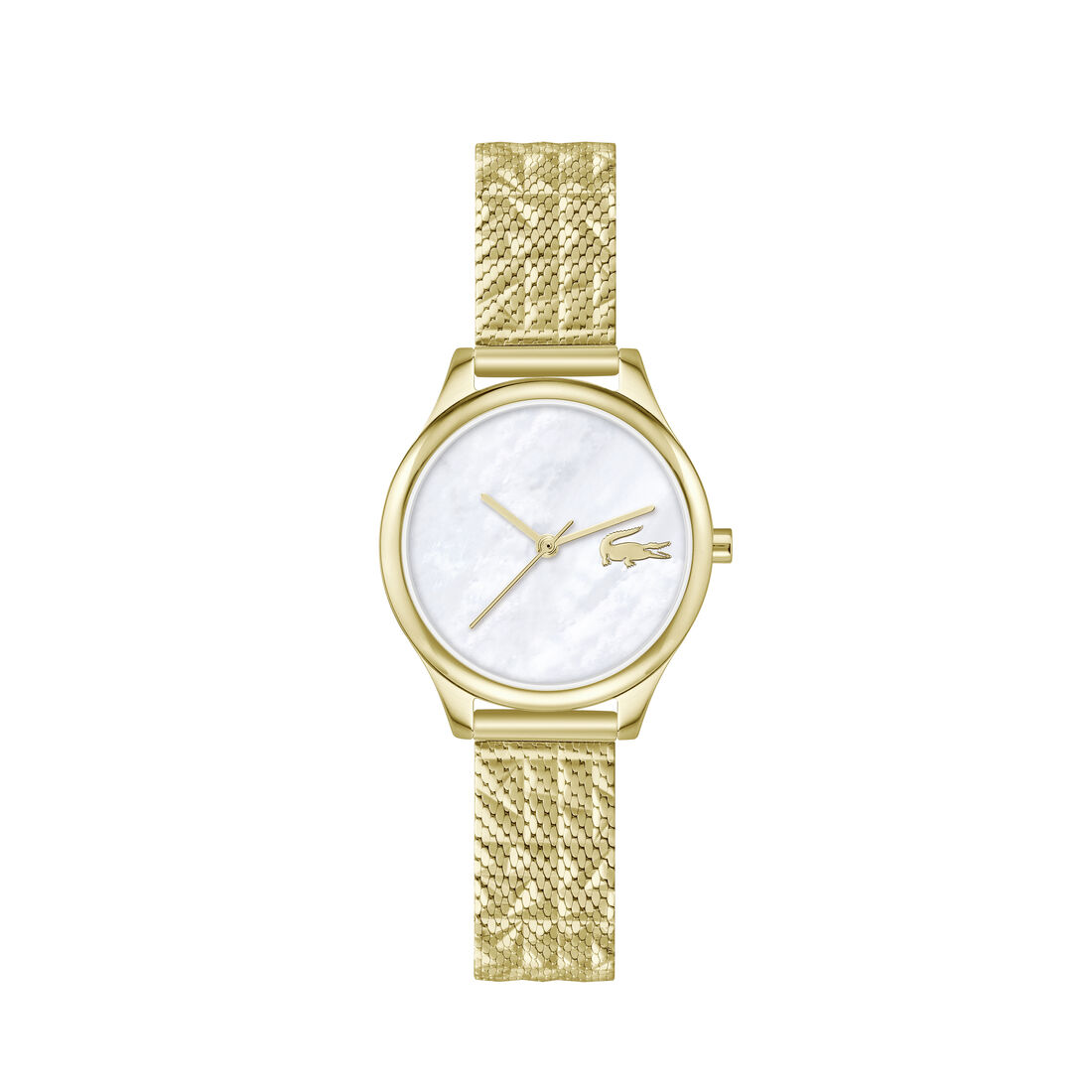 Thin Gold-Plated Steel Women's Watch