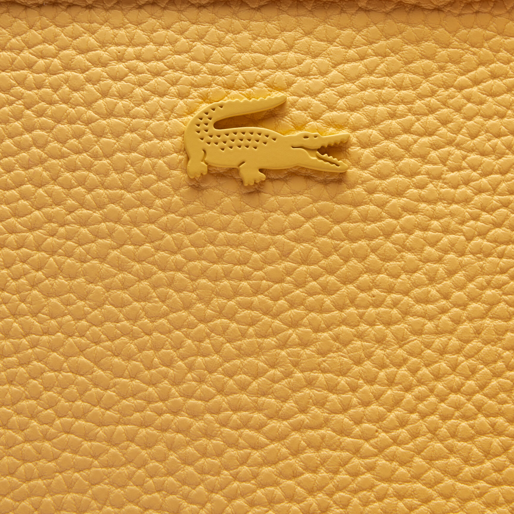 Anna Reversible Tote with Pouch