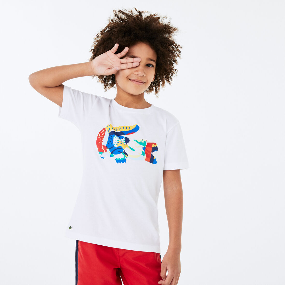 Boys&rsquo; Crew Neck Multicolour Crocodile Cotton T-shirt