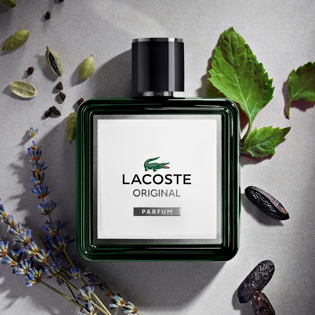 عطر لاكوست أوريجينال بارفان للرجال 100 مل عطر لاكوست أوريجينال بارفان للرجال 100 مل