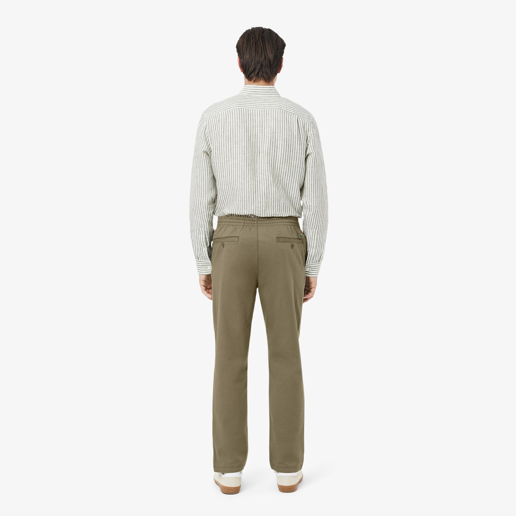Regular Fit Cotton Gabardine Chino Pants