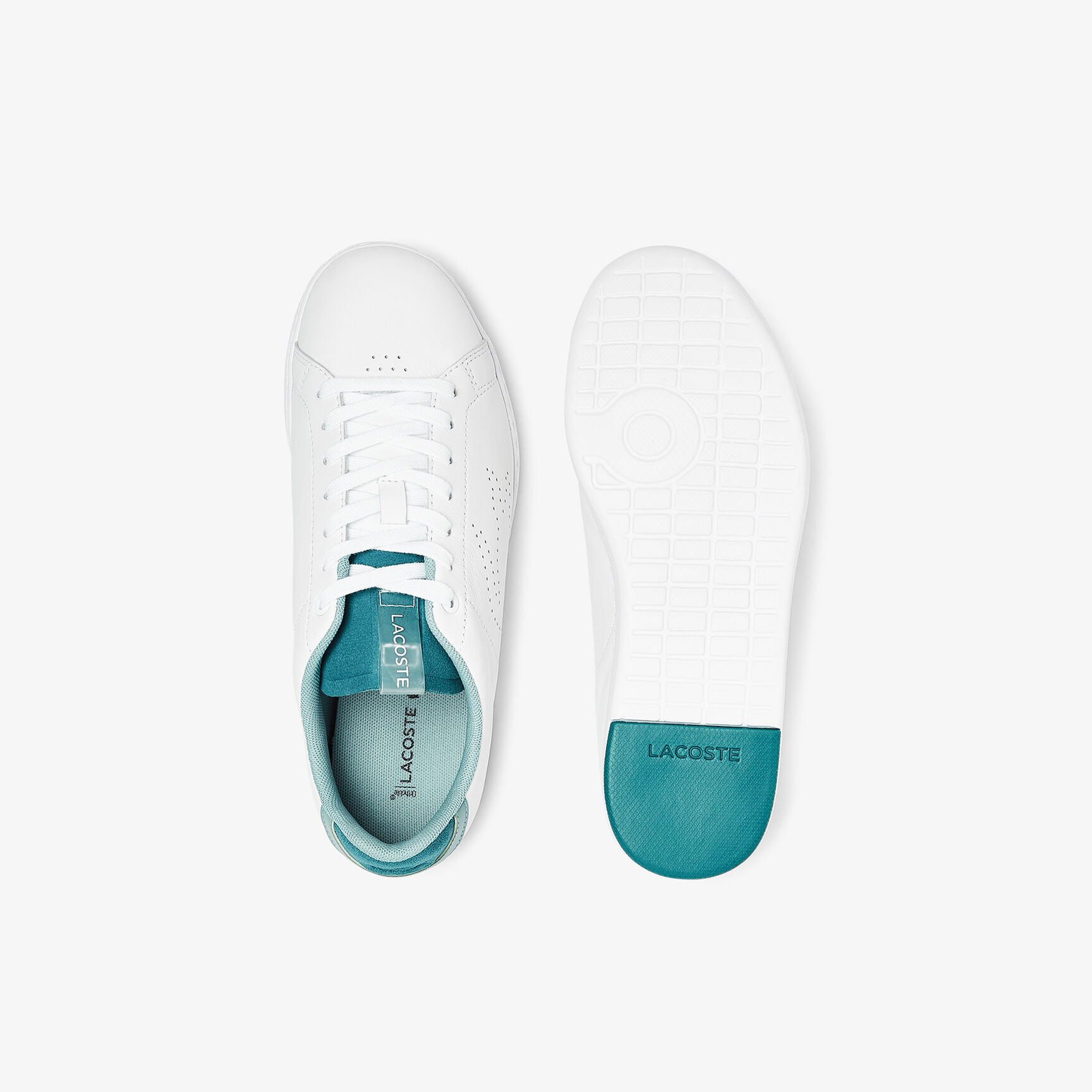 Women's Carnaby Evo LT-WT Leather Sneakers Women's Carnaby Evo LT-WT Leather Sneakers