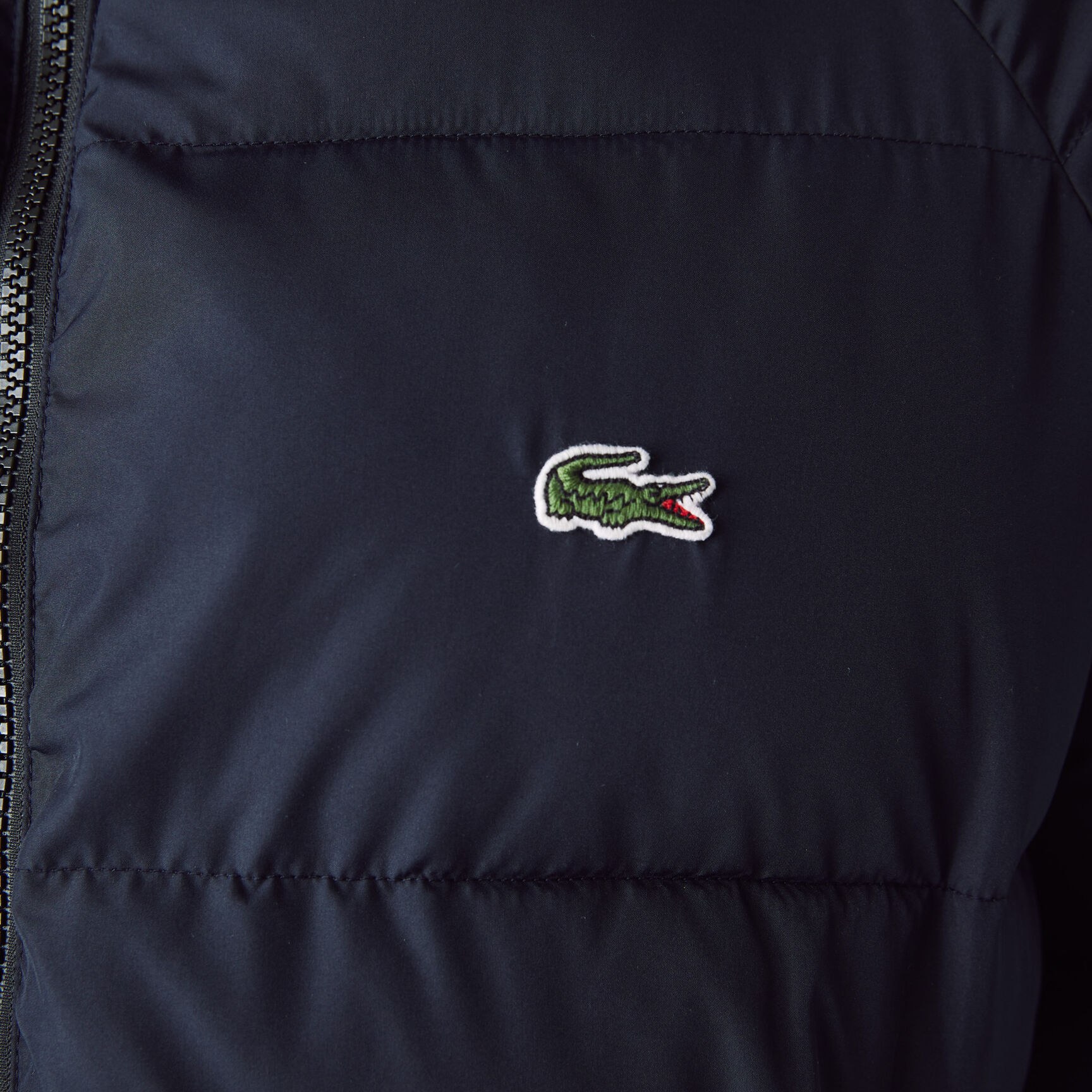 Men&rsquo;s Lacoste x National Geographic Reversible Quilted Zip Jacket