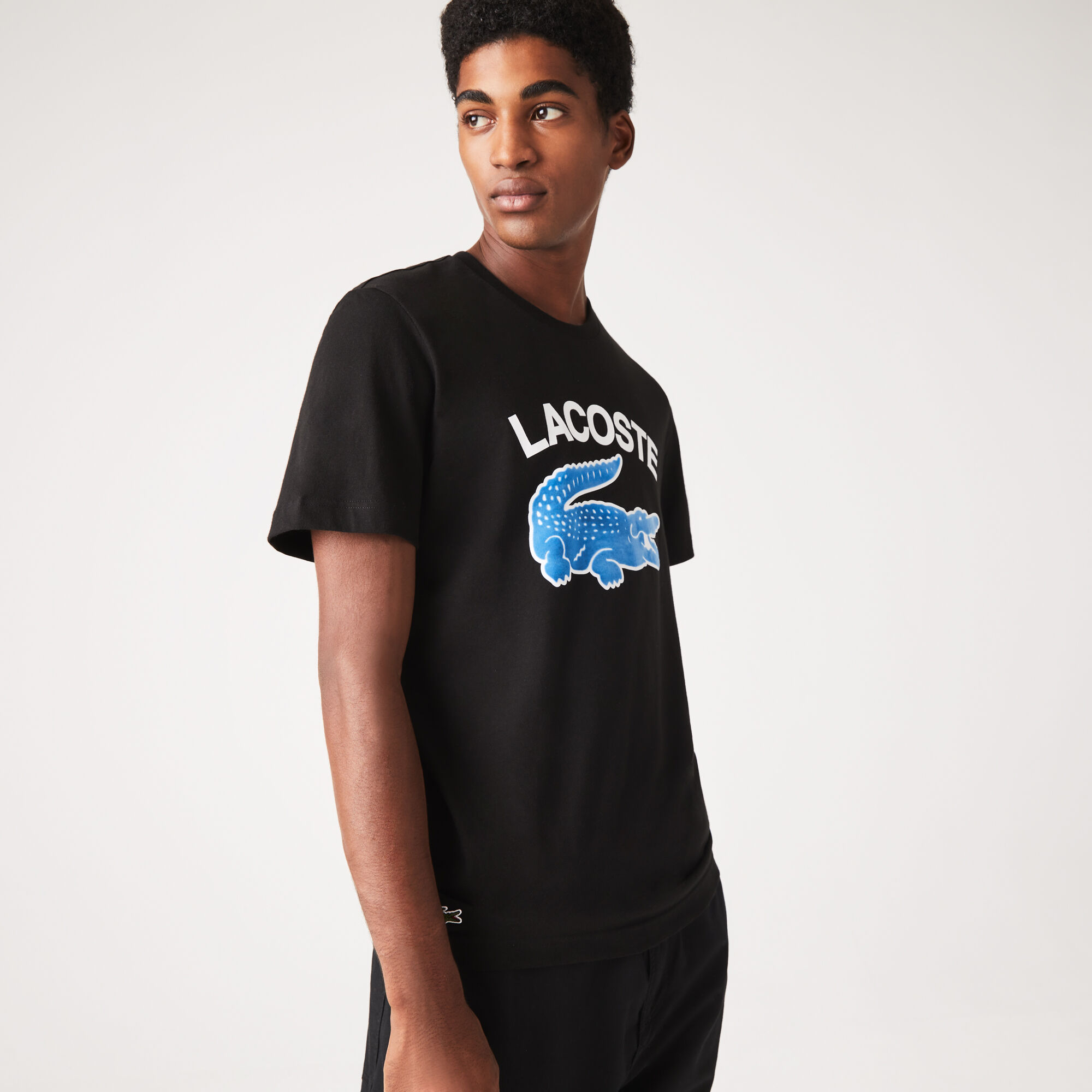 Lacoste black crocodile shop