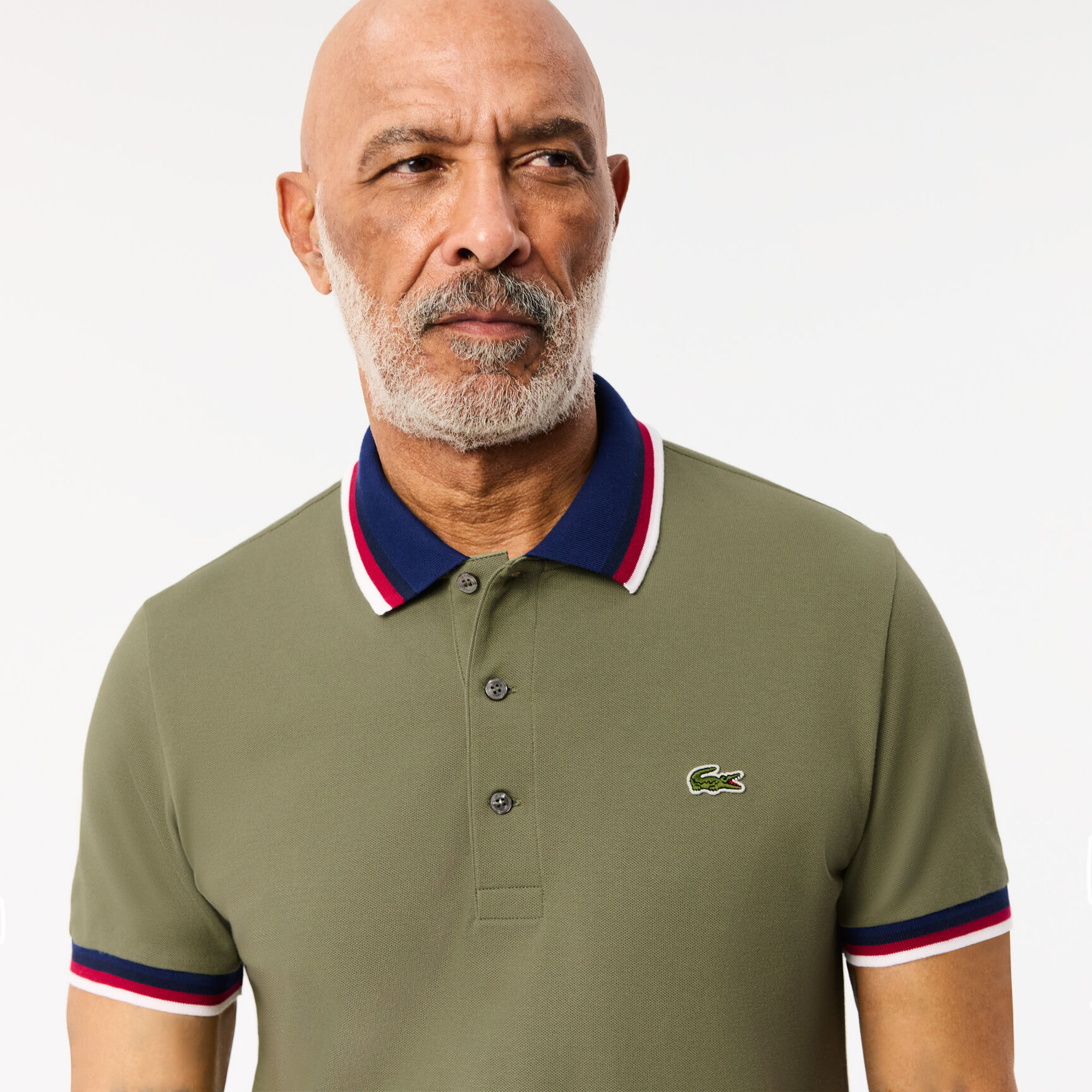 Regular Fit Contrast Collar Polo Shirt
