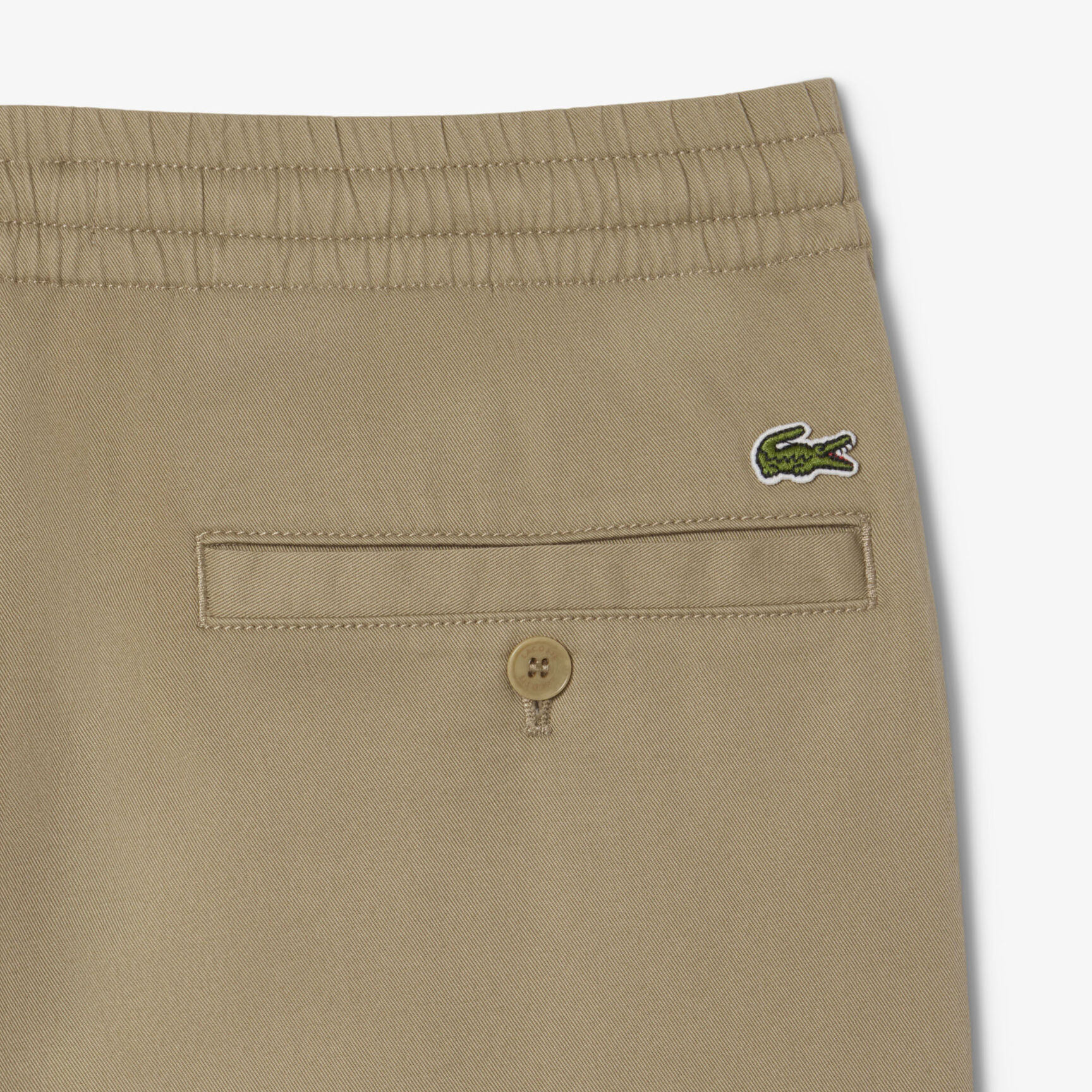 Regular Fit Cotton Gabardine Chino Pants