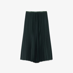 Long Pleated Elasticated Waist Skirt