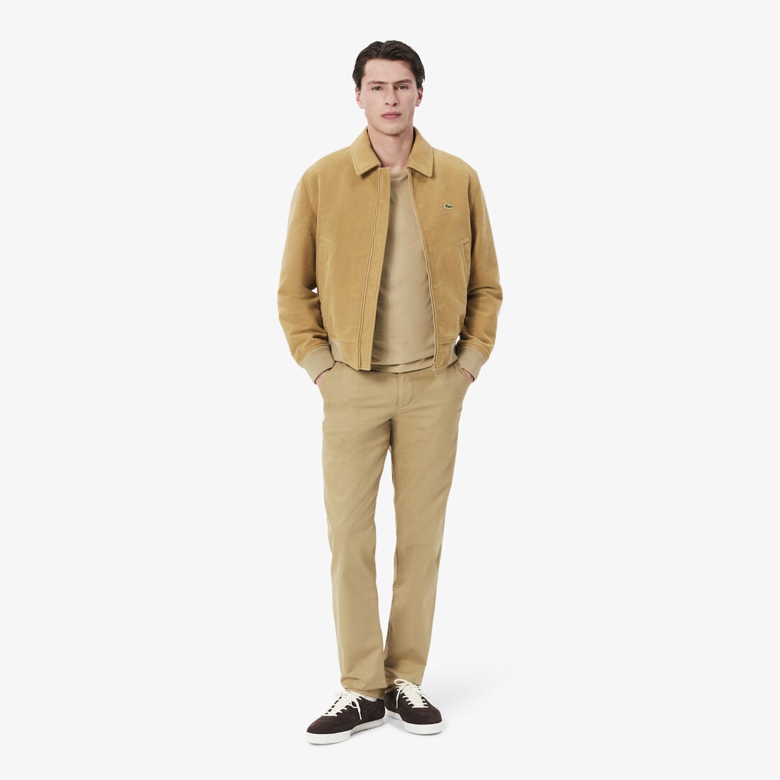 Regular Fit Cotton Chino Pants