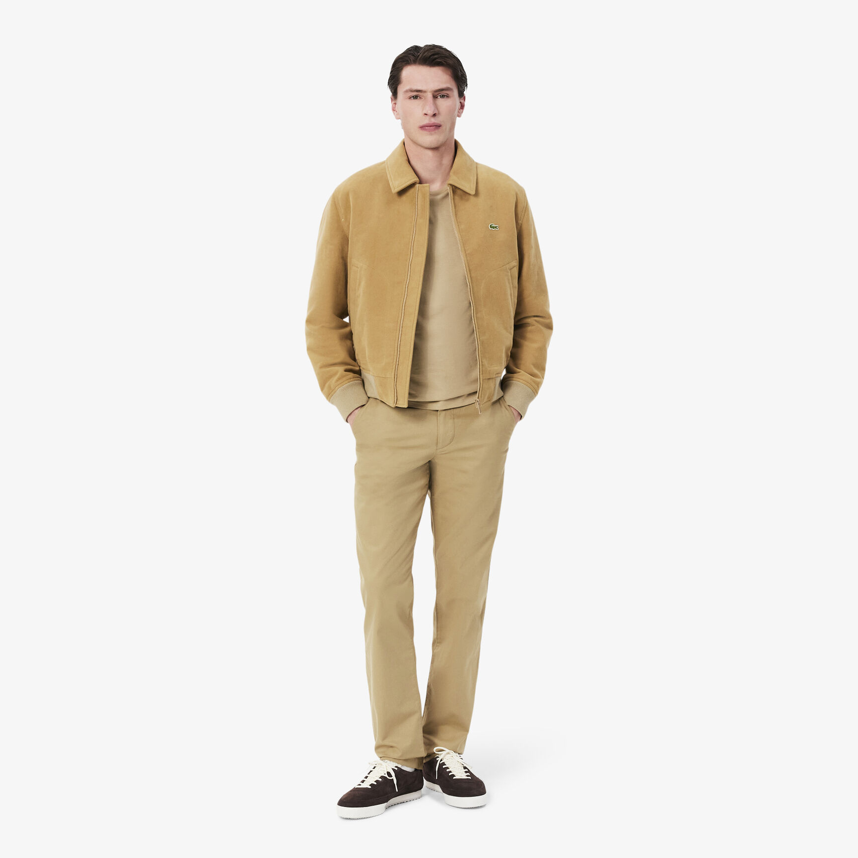 Regular Fit Cotton Chino Pants