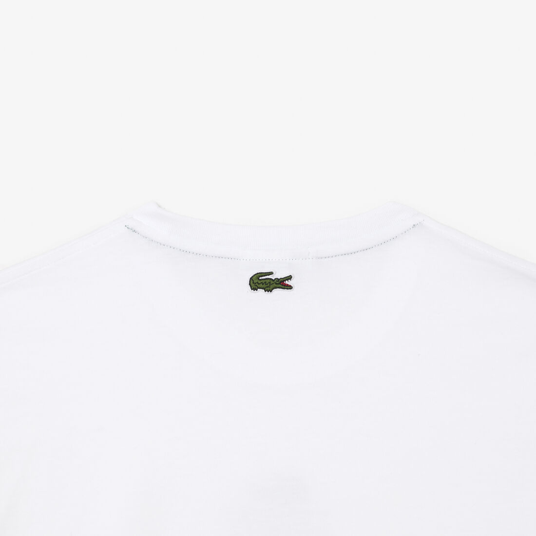 Regular Fit Cotton Jersey Branded T-shirt Regular Fit Cotton Jersey Branded T-shirt