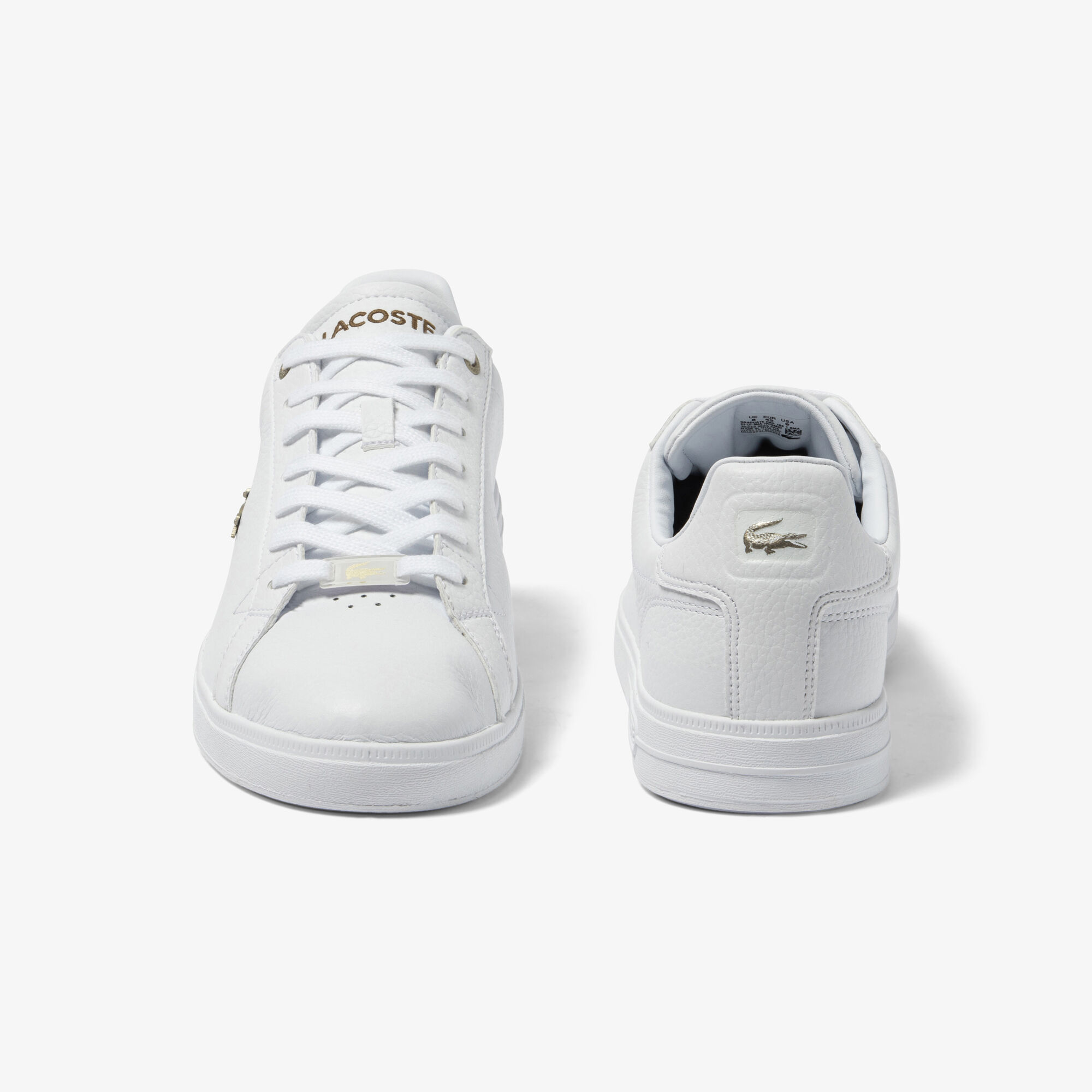 Lacoste graduate evo shop