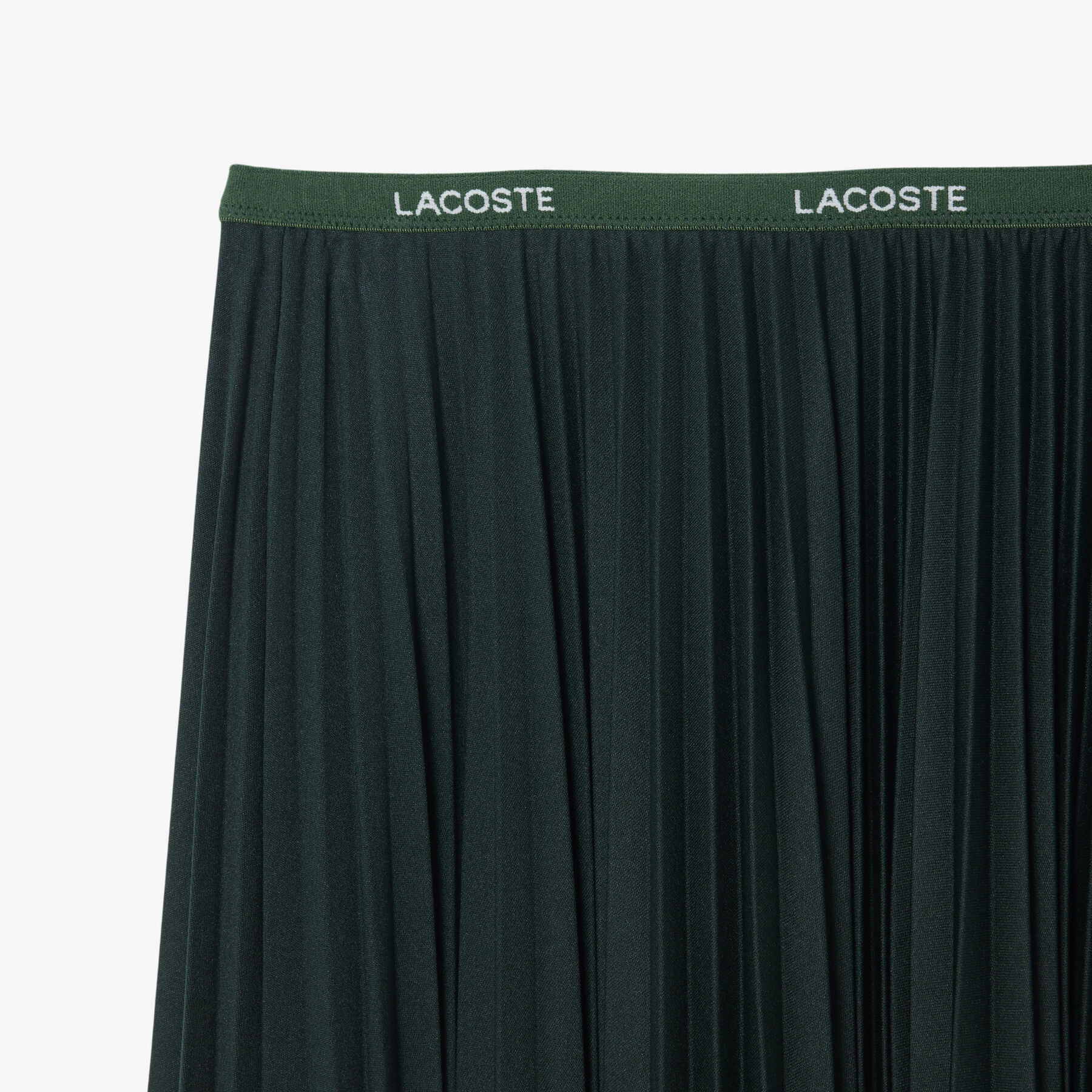 Long Pleated Elasticated Waist Skirt
