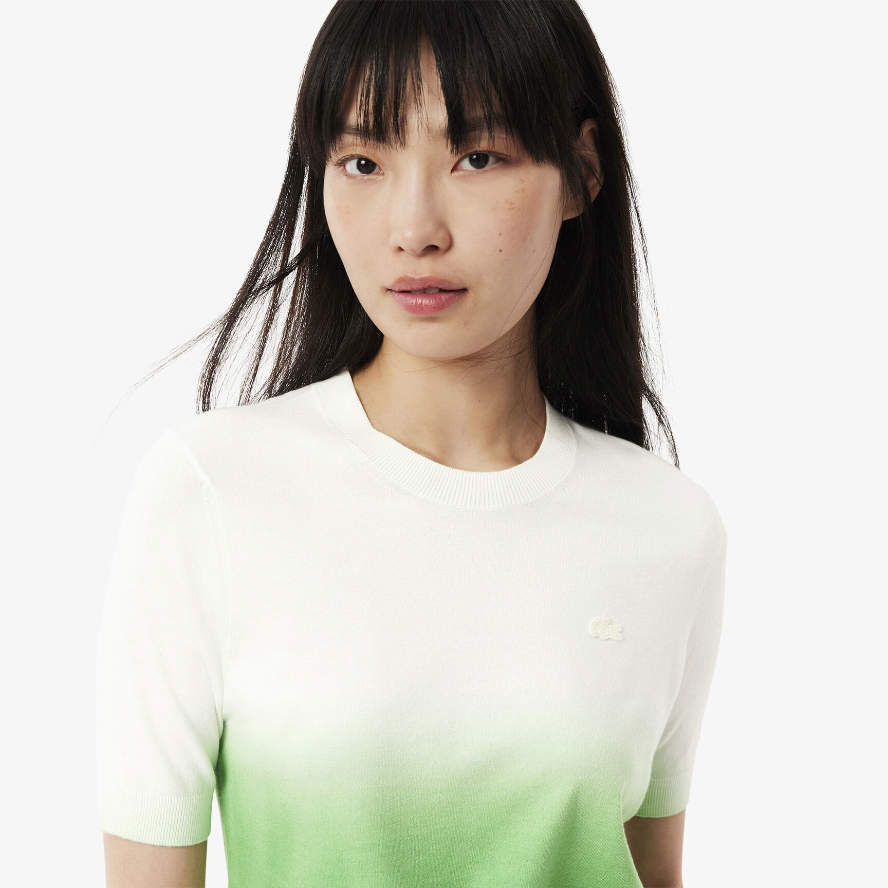 Short Sleeved Ombre Effect Sweater