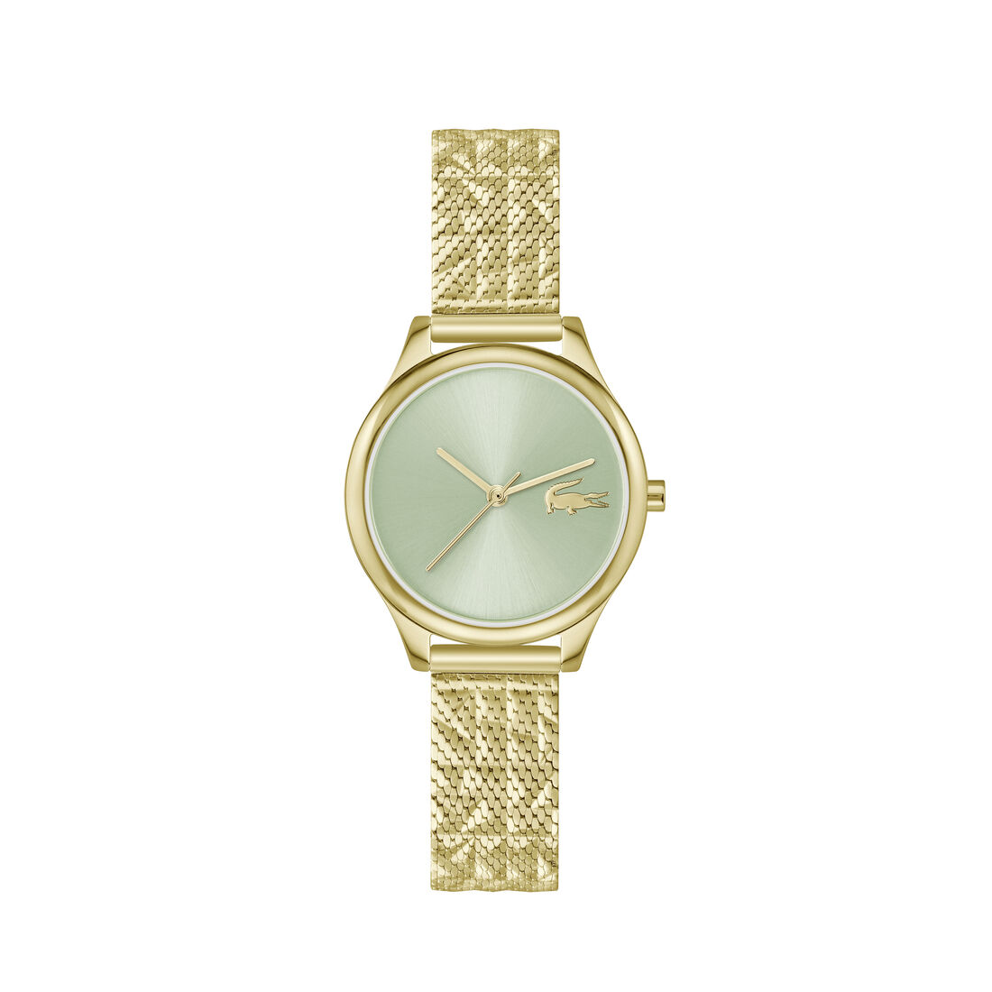 Thin Gold-Plated Steel Women's Watch