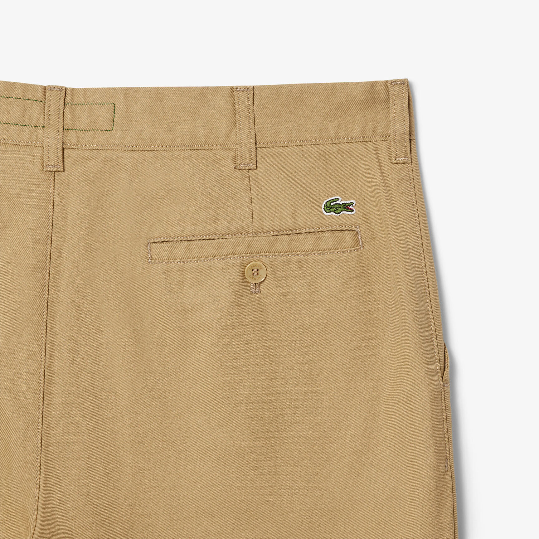 Regular Fit Cotton Chino Pants