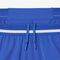 Lacoste Tennis x Novak Djokovic Shorts